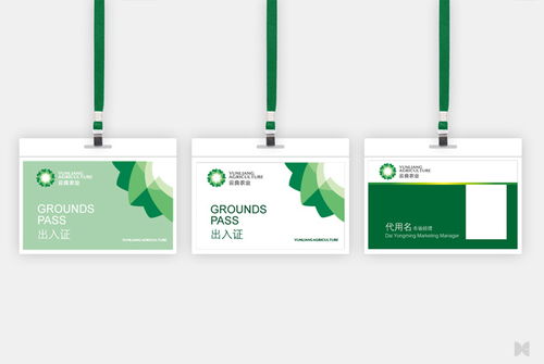 大诚弘毅 云良控股集团品牌形象设计与企业形象策划的战略蓝图