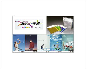 企业形象策划 VI设计与CI导入的系统之道