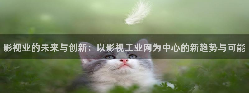 18禁蓝莓视频：影视业的未来与创新：以影视工业网为中心的新趋势与可能