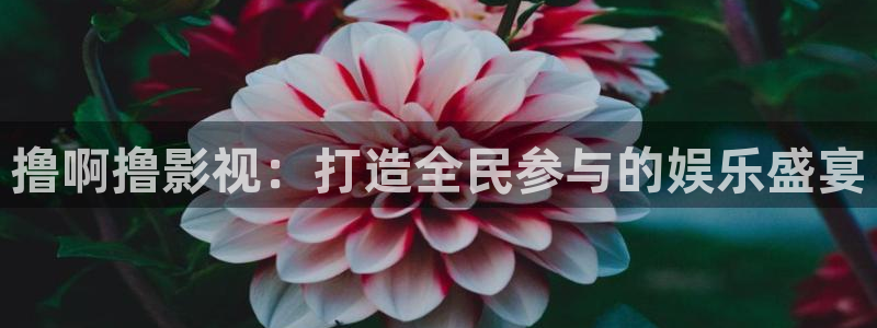 蓝莓果视频：撸啊撸影视：打造全民参与的娱乐盛宴