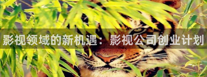 诺特兰德蓝莓叶黄素片