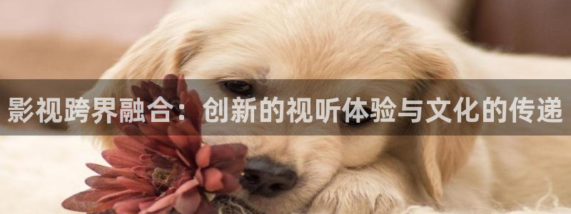 蓝莓视频134
