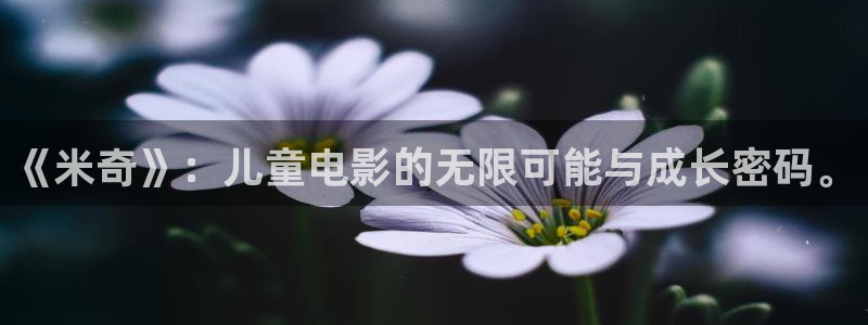 蓝莓视频免费在线：《米奇》：儿童电影的无限可能与成长密码。