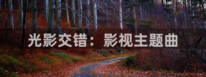 蓝莓视频app黄：光影交错：影视主题曲